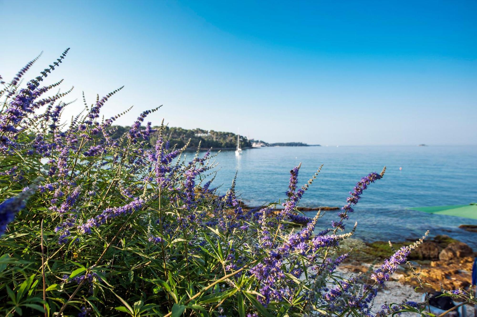 Apartments & Room Anita Rovinj Exterior photo